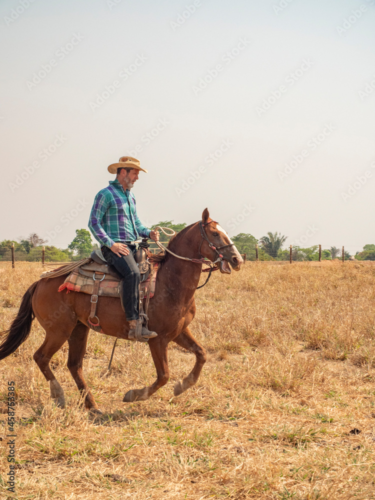 Cowboy is riding his horse on a cattle farm with very dry land