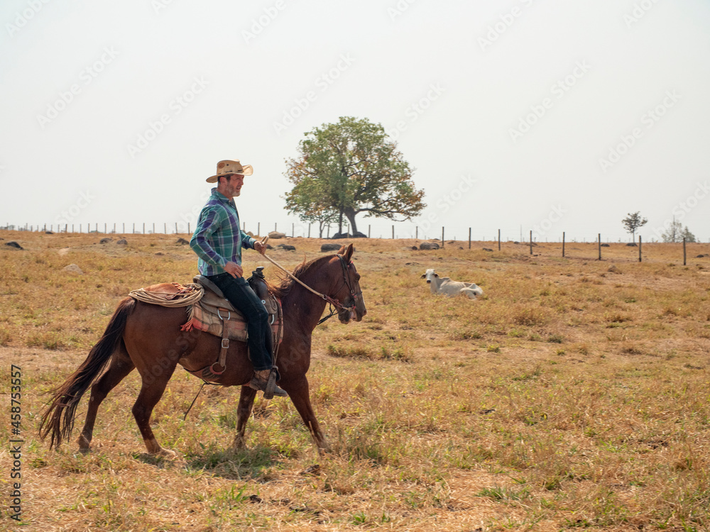 Cowboy is riding his horse on a cattle farm with very dry land Cowboy is riding his horse on a cattle farm with very dry land