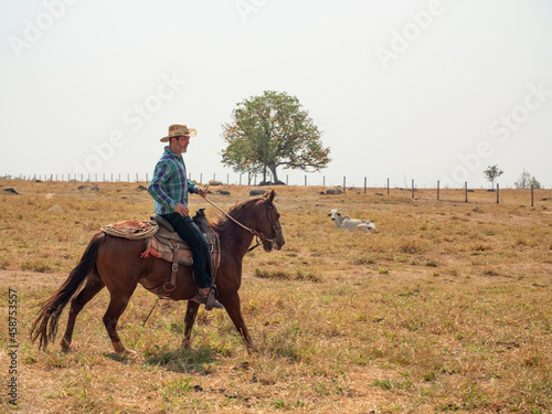 Cowboy is riding his horse on a cattle farm with very dry land