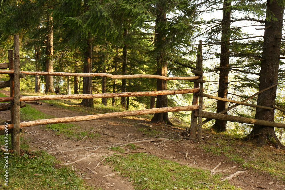 Wooden fence in coniferous forest on hill