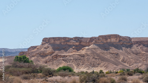 Negev Arava Desert scene with mountains and palms trees in southern Israel 