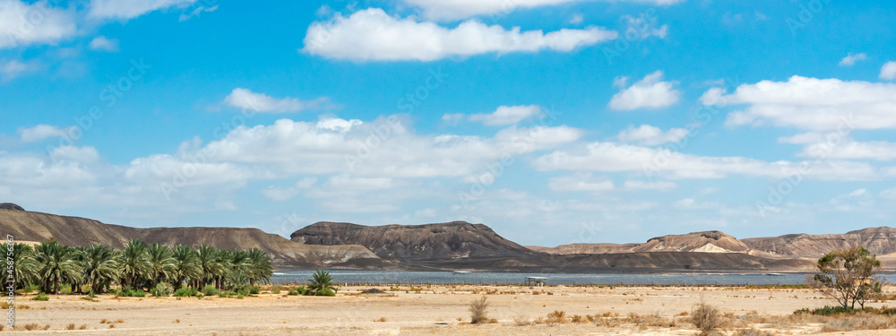 Negev Arava Desert scene with mountains, palms trees and solar panels field in southern Israel
Negev Arava Desert scene with mountains, palms trees and solar panels field in southern Israel
