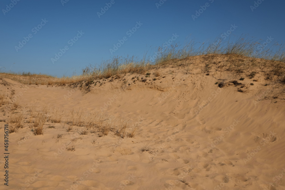 Picturesque view of desert on sunny day Picturesque view of desert on sunny day