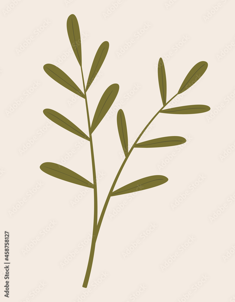 Vintage illustration of green wild branch with leaves. Medicinal herb. Botanic vector of forest flora. Hand drawn colorful floral element. Clipart for design and print