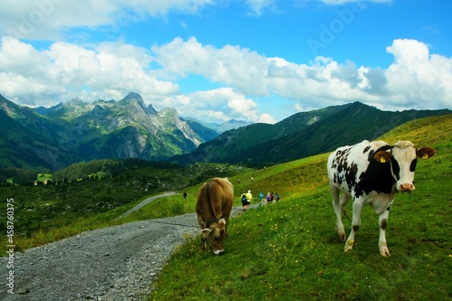 Austrian Alps - view of tourists on the way to lake K  rbersee in the Lechtal Alps