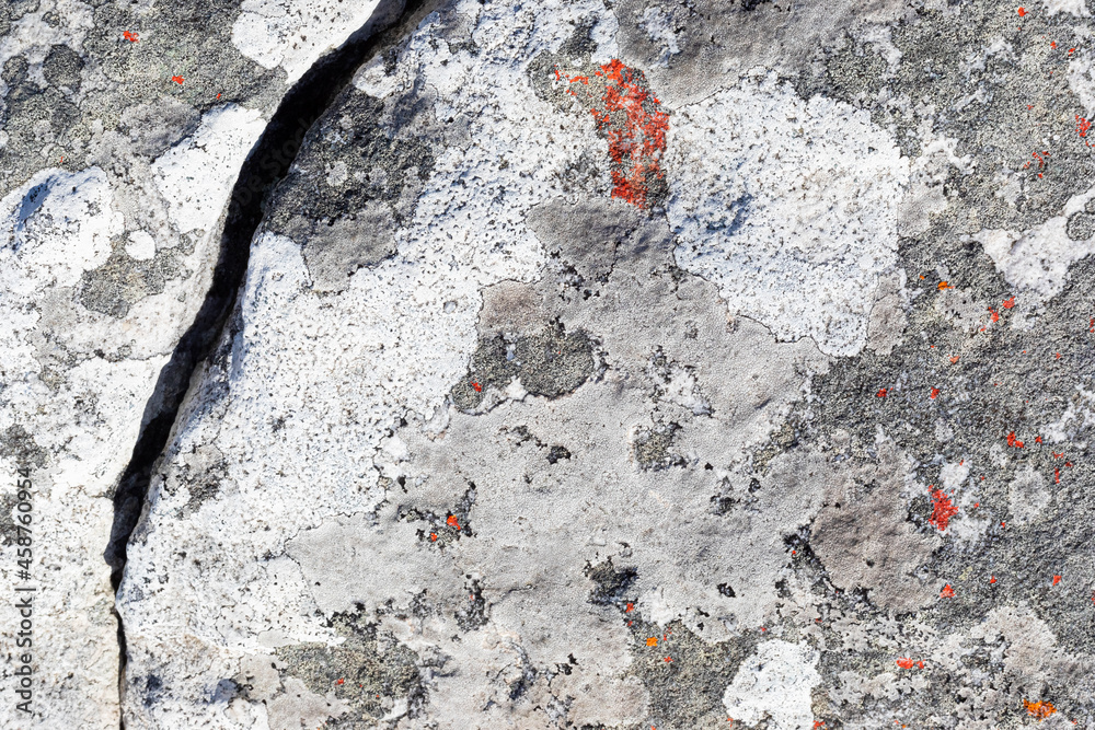 Macro texture of orange red lichen moss growing on mountain rock. Macro texture of orange red lichen moss growing on mountain rock.