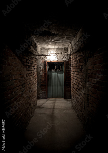 Dark brick hallway leading to a spooky wooden door.