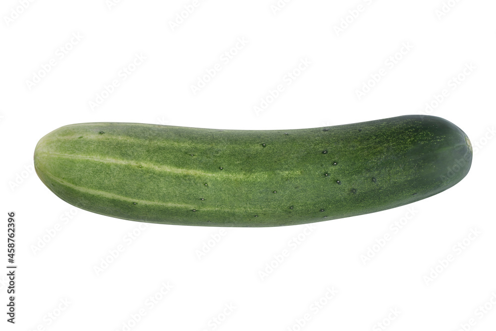 ripe cucumber and Cucumber slice isolated on a white background. ripe cucumber and Cucumber slice isolated on a white background.