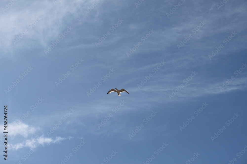 los cristianos guaza mountain