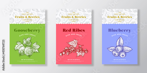 Fruits and Berries Pattern Label Templates Set. Vector Packaging Design Layout Collection. Modern Typography Banner with Hand Drawn Gooseberry, Blueberry and Red-Ribes Sketches Background. Isolated