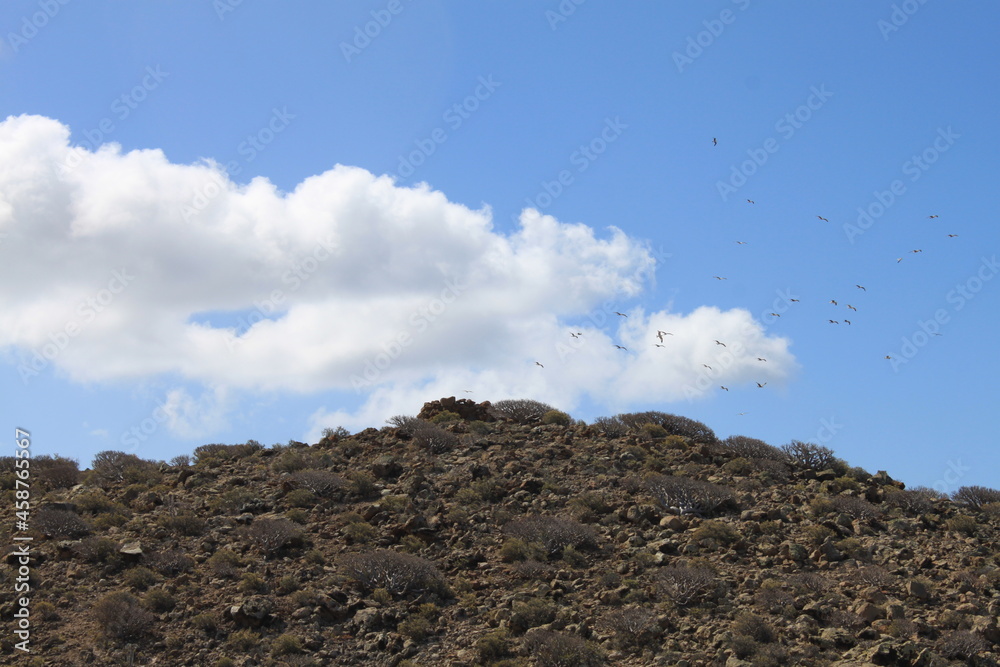 los cristianos guaza mountain