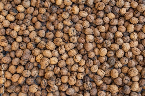 Mass quantity of walnuts dry fruit