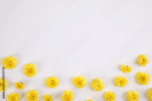 Yellow flowers isolated in white background in top view