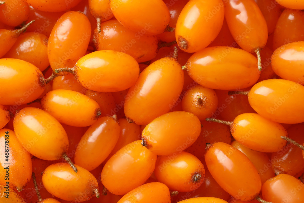 Many ripe sea buckthorn berries as background, top view Many ripe sea buckthorn berries as background, top view