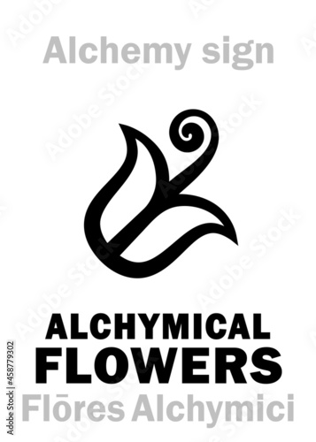 Alchemy Alphabet: Alchymical FLOWERS (Flōres Alchymici) — sublimate crystalline form of substance (eg. radial crystals of salts, metals, etc.), or crystalline powder, any solid product of sublimation. photo