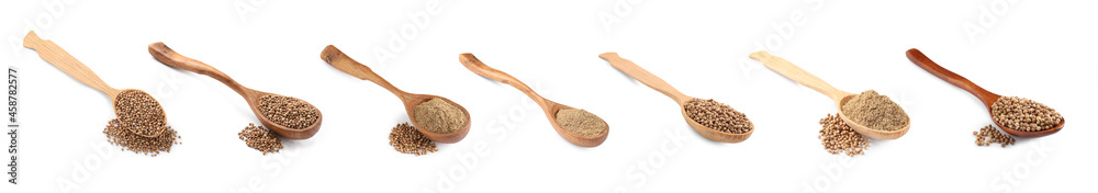 Set with coriander seeds and powder on white background. Banner design Set with coriander seeds and powder on white background. Banner design