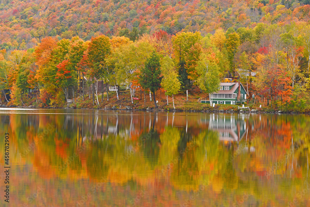 Obraz premium vermont fall foliage