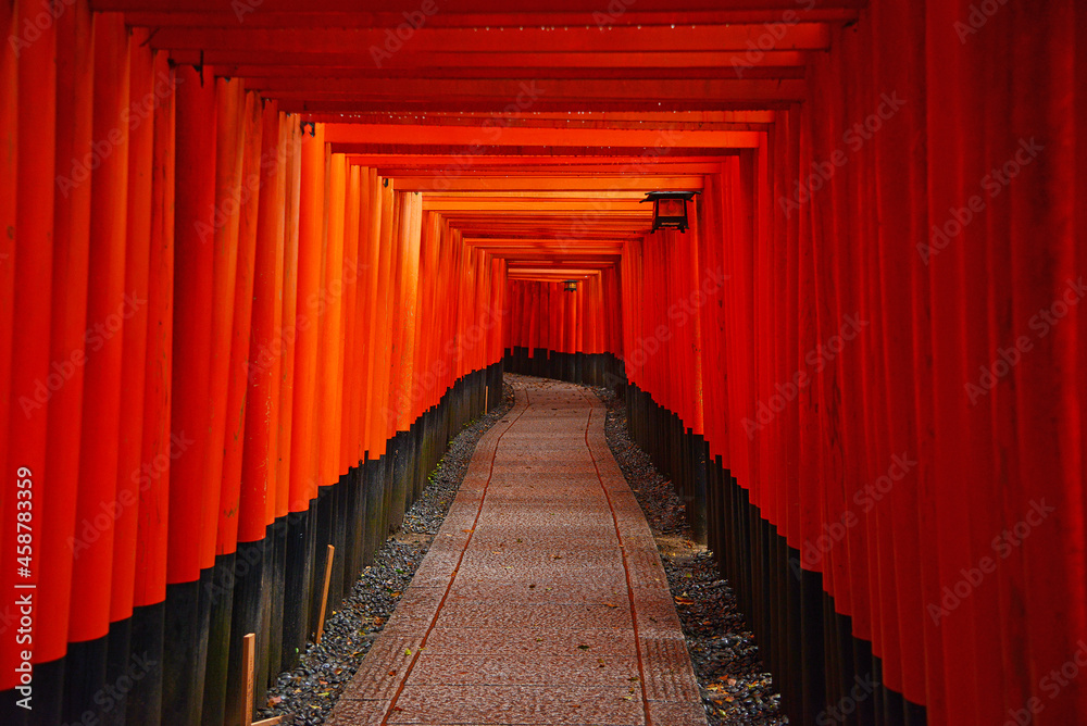 Fototapeta premium japanese temple path