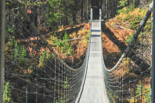 Swinging suspension bridge over the mountain canyon at Blackshale Creek, Alberta Canada