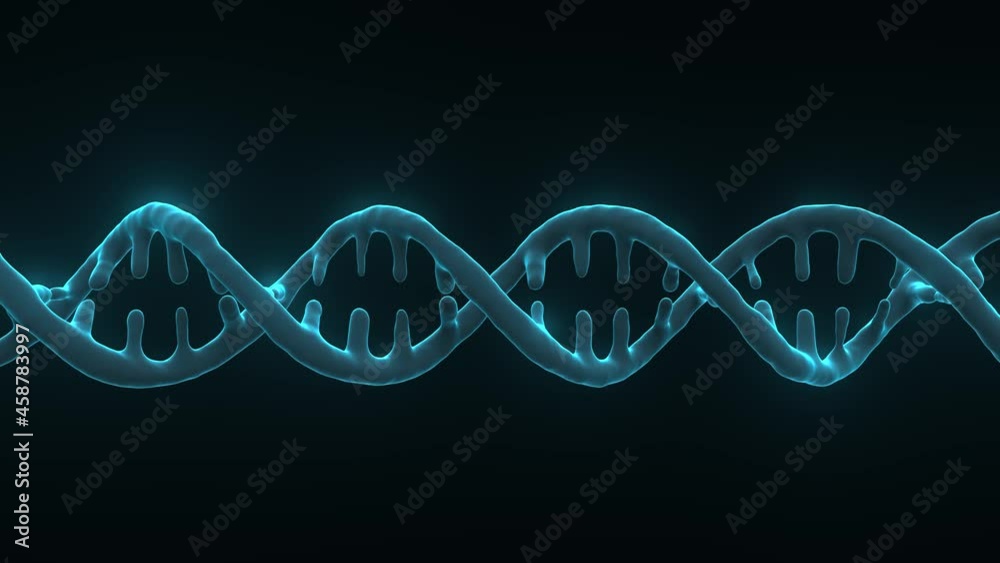 DNA helix DNA helix