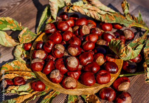 Chestnut in a plate with dry leaves on a brown wooden table. Autumn still life with bright horse chestnuts on wooden background. High quality photo
