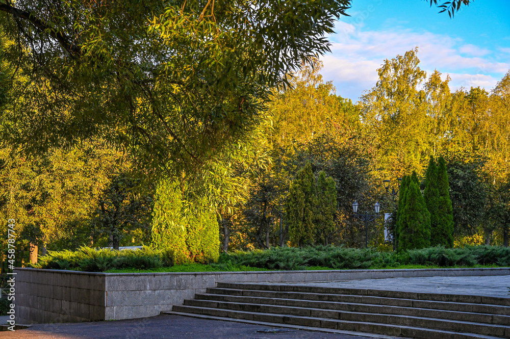 Naklejka premium autumn in the park