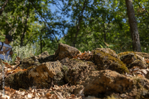 Parcellara stone