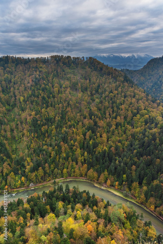 Fog in the mountain forest with yellow and red leaves, top view