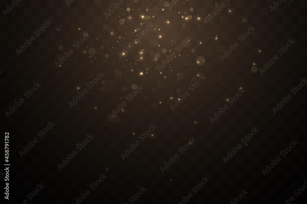 Light effect. Background of sparkling particles. Glittering elements on a transparent background. Light effect. Background of sparkling particles. Glittering elements on a transparent background.