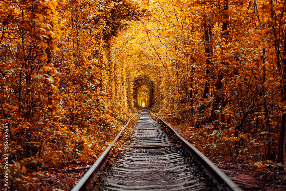 love tunnel in autumn. a railway in the autumn forest. Tunnel of Love, autumn trees and the railroad - obrazy, fototapety, plakaty 