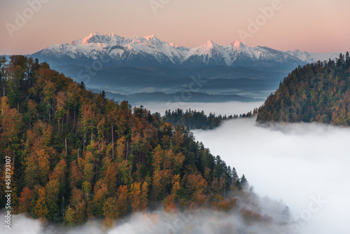 Golden autumn in the mountains with morning mists and yellow-red leaves on the trees