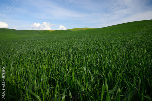 farm hill in washington