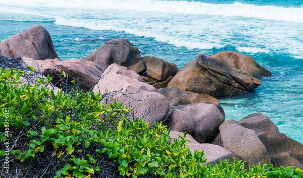 Fototapeta premium Anse Fourmis in La Digue, Seychelles