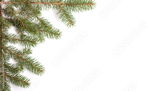 Fir branches on a white background. Christmas frames or borders with fir tree