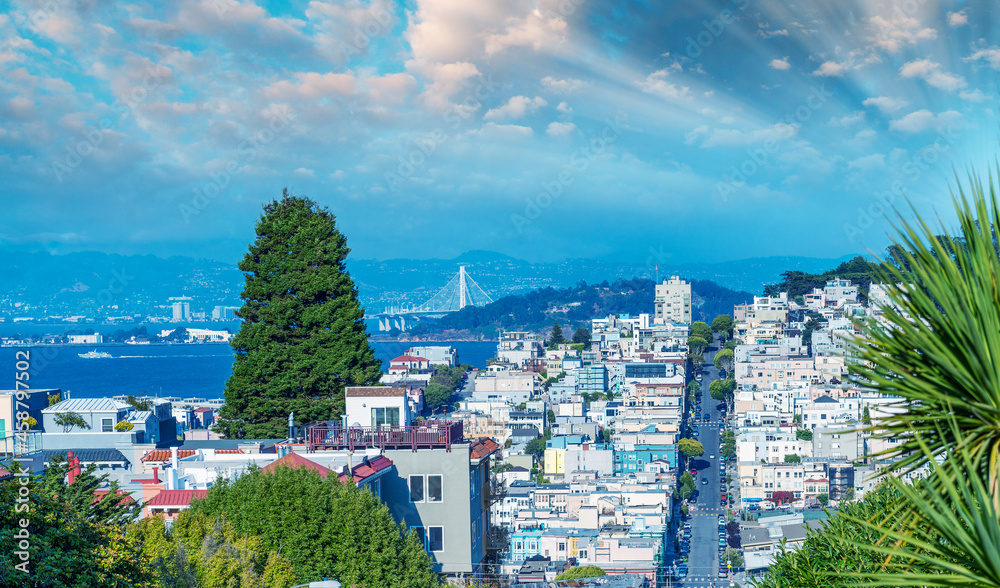 San Francisco aerial skyline from Russian Hill in summer season