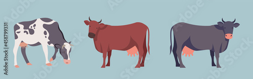 Set of stickers with cows. Colorful collection with domestic farm animals. Brown, gray and spotted cow. Funny characters mammals. Cartoon flat vector illustrations isolated on blue background