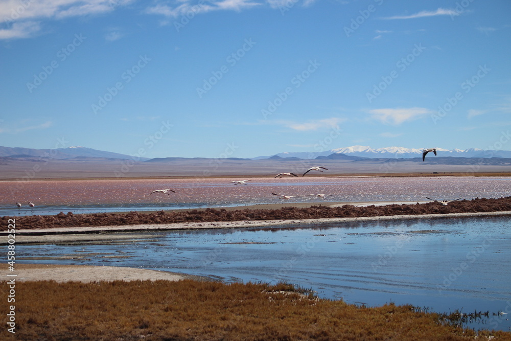 incredible volcanic and desert landscape of the Argentine Puna