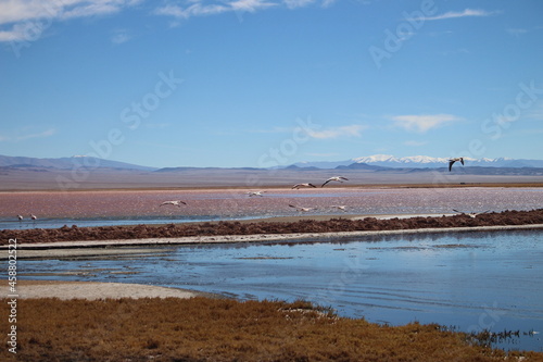 incredible volcanic and desert landscape of the Argentine Puna