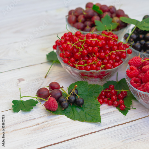 Different garden berries in plates on a white wooden background. Ripe juicy berries of red currant, black currant, gooseberry, raspberry with green leaves