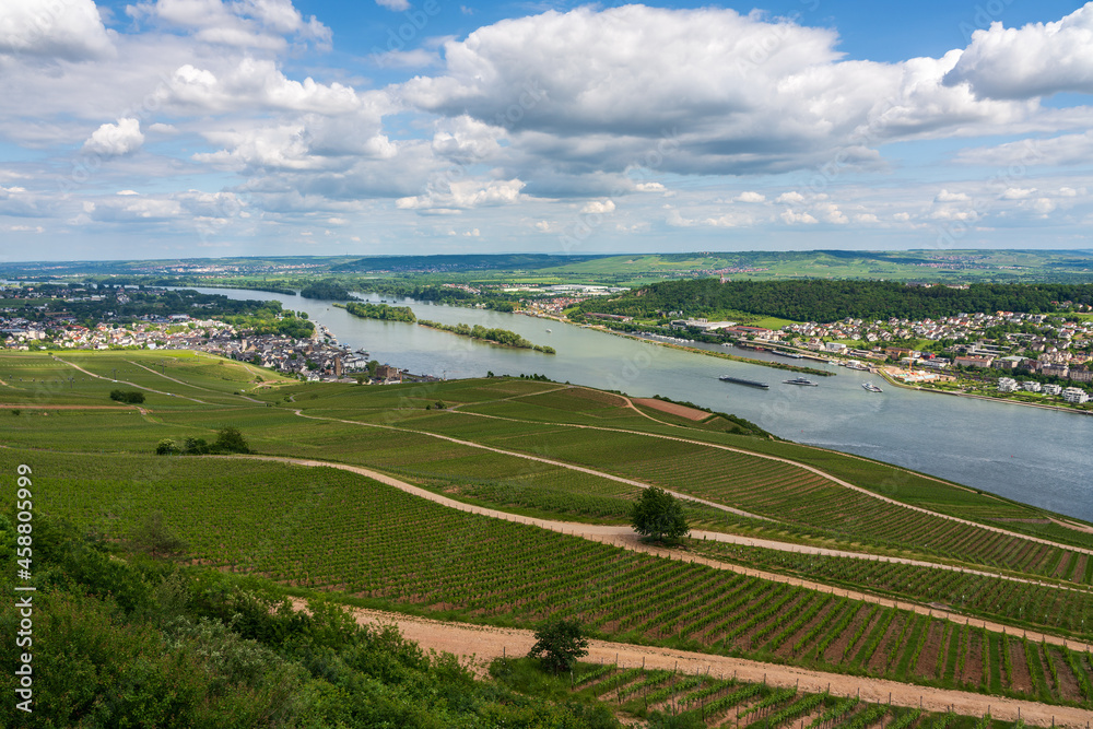 Panoramic view of Ruedesheim am Rhein in Germany.
