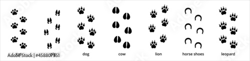 Animal paw and foot print trail. Contains footprint trace of cat, pig, dog, cow, lion, horse, and leopard. Vector illustration on animal foot print shape.