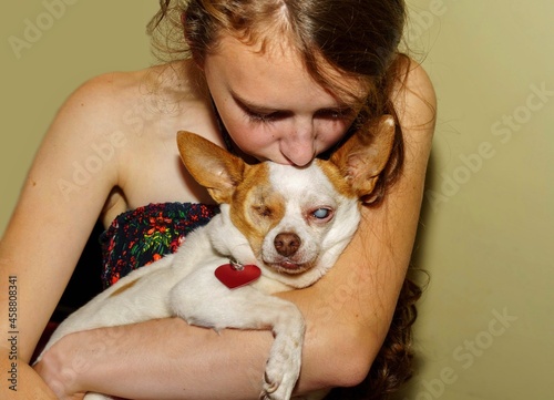 Chihuahua dog with eye disease - one eye removed and other eye with cataract 