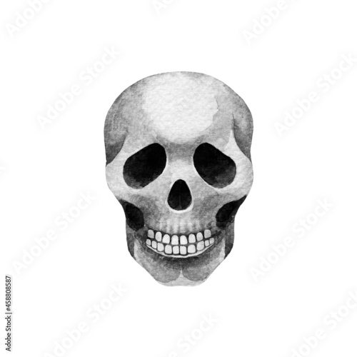 Watercolor skull on white background isolated. Black and white hand drawn element. Nice illustration for your design.