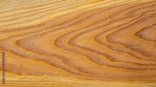 wood grains on pine boards