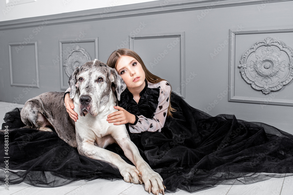 a girl in black dress is dressing her dog on a gray background a girl in black dress is dressing her dog on a gray background