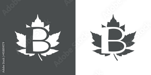 Logotipo letra inicial B en hoja de arce en fondo gris y fondo blanco
