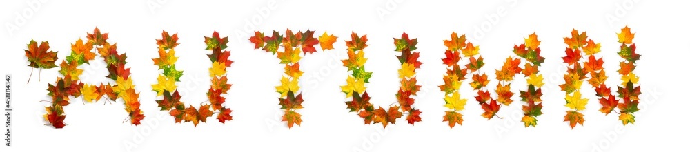 Autumn lettering text from of colorful autumnal maple leaves on white background. Top view, flat lay Autumn lettering text from of colorful autumnal maple leaves on white background. Top view, flat lay