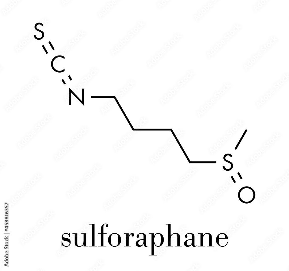 Sulforaphane cruciferous vegetable molecule. Skeletal formula. Sulforaphane cruciferous vegetable molecule. Skeletal formula.