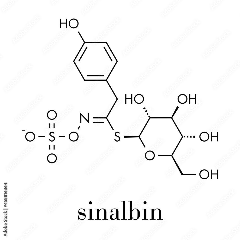 Sinalbin glucosinolate molecule. Present in seeds of white mustard (Sinapis alba). Skeletal formula. Sinalbin glucosinolate molecule. Present in seeds of white mustard (Sinapis alba). Skeletal formula.