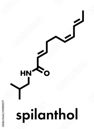 Spilanthol molecule. Local anesthetic present in Acmella oleracea (toothache plant). Skeletal formula. photo